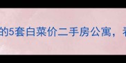 北京30万捡漏内行人的5套白菜价二手房公寓看完我直呼太值了