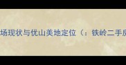 铁岭二手房市场现状与优山美地定位铁岭二手房优山美地