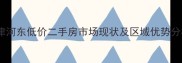 天津河东低价二手房市场现状及区域优势分析