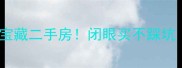 哈尔滨儿童公园旁的宝藏二手房闭眼买不踩坑附真实房源清单