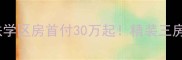 好旺星天地76地铁学区房首付30万起精装三房转手即赚20万攻略