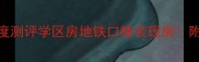 大同枫林逸景二手房深度测评学区房地铁口精装现房附看房攻略和避坑指南