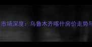 新疆二手房市场深度乌鲁木齐喀什房价走势与购房指南