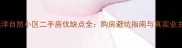 大连远洋自然小区二手房优缺点全购房避坑指南与真实业主反馈