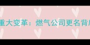 延吉二手房市场迎来重大变革燃气公司更名背后的交易机遇与风险