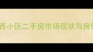 濮阳庆西小区二手房市场现状与房价分析