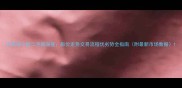 齐民祥小区二手房深度房价走势交易流程优劣势全指南附最新市场数据
