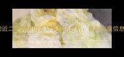 毓璜顶医院附近二手房房价走势及学区分析最新楼盘信息与购房指南