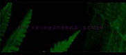 徐州二手房公积金贷款最新政策全流程指南