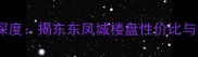 揭阳二手房市场深度揭东东凤城楼盘性价比与投资潜力全指南