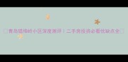 青岛错埠岭小区深度测评二手房投资必看优缺点全