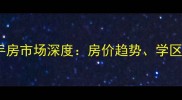 洛阳嵩山家园二手房市场深度房价趋势学区优势与投资指南