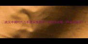 武汉中城时代二手房深度测评附购房攻略附真实案例
