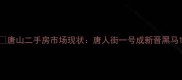 唐山二手房市场现状唐人街一号成新晋黑马