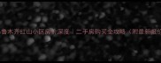 乌鲁木齐红山小区房价深度二手房购买全攻略附最新报价