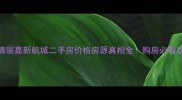 永清丽嘉新航城二手房价格房源真相全购房必看攻略
