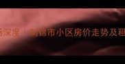 济南二手房市场深度制锦市小区房价走势及租房买房全攻略