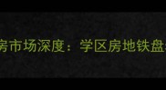 沈阳大东区二手房市场深度学区房地铁盘老城改造全攻略