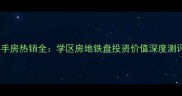 合肥市碧水兰庭二手房热销全学区房地铁盘投资价值深度测评附最新房价