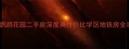 汉阳鹦鹉花园二手房深度高性价比学区地铁房全攻略