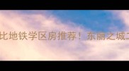 东丽区高性价比地铁学区房推荐东丽之城二手房全攻略