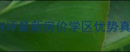 杭州汇宇和庭排屋二手房深度测评最新房价学区优势真实成交数据全附购房指南
