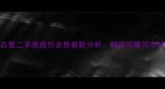 南京左邻右里二手房房价走势最新分析购房攻略与市场趋势解读